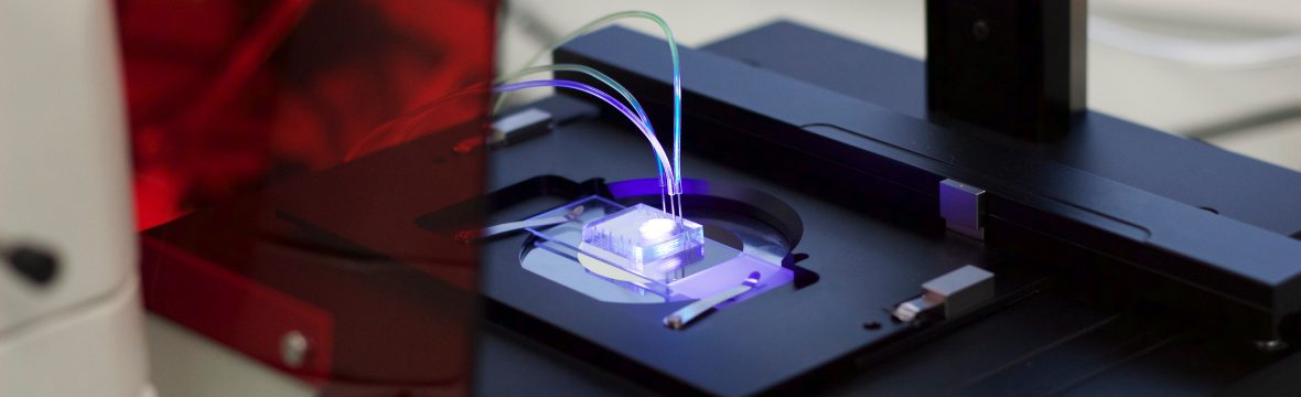 Microscope and Microfluidic Chip