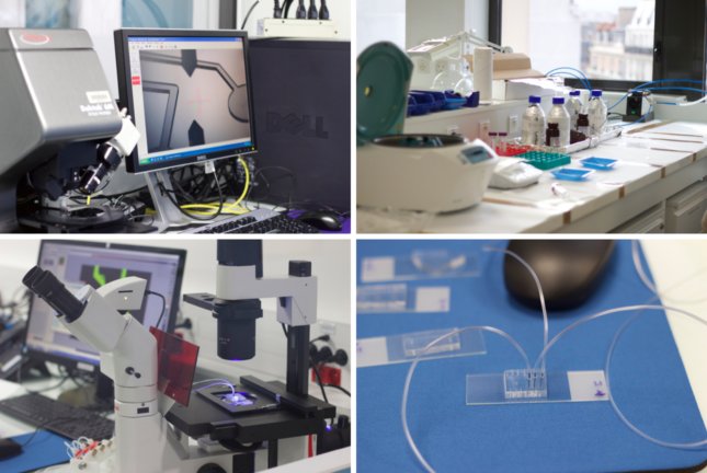 Pictures of the practicals