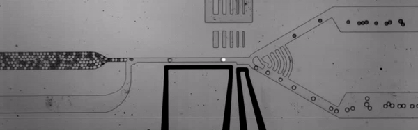 Microfluidic sorting device