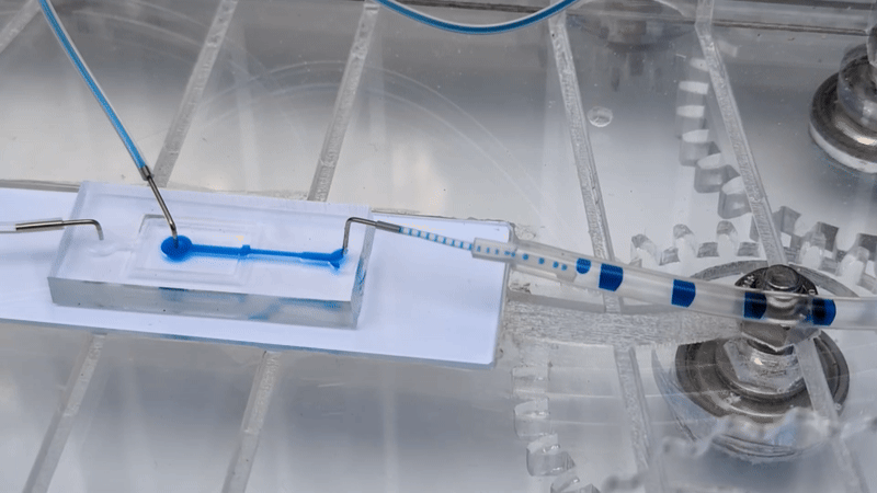 Microfluidic droplet sorting device at IPGG
