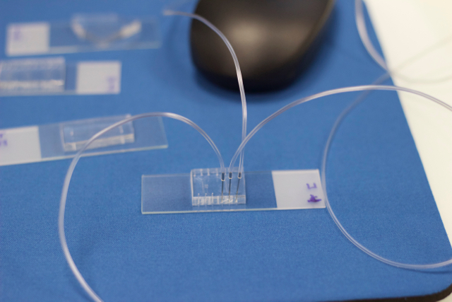 Puce microfluidique et tubulures